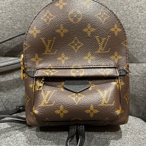 Louis Vuitton Palm Springs mini - Picture 1 of 12